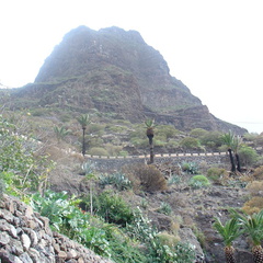 DSC03690