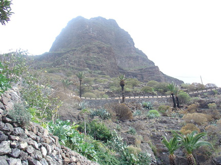 DSC03690