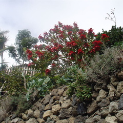 DSC03691