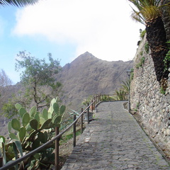 DSC03693