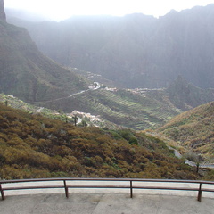 DSC03695