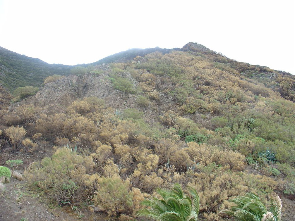 DSC03701
