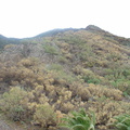DSC03701