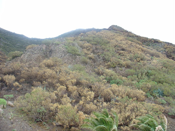DSC03701