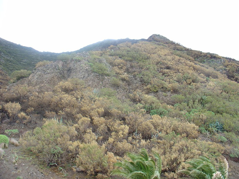 DSC03701