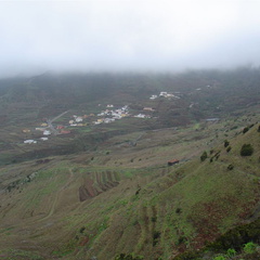 DSC03704