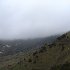 DSC03705