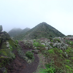 DSC03706