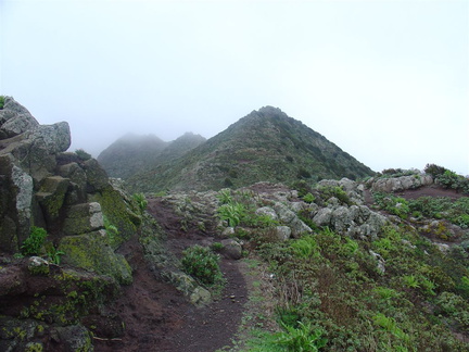 DSC03706