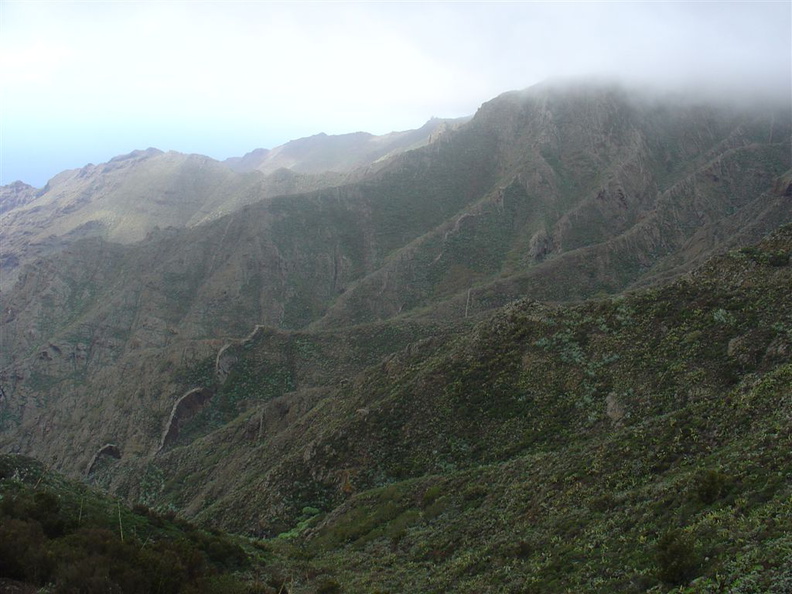DSC03708
