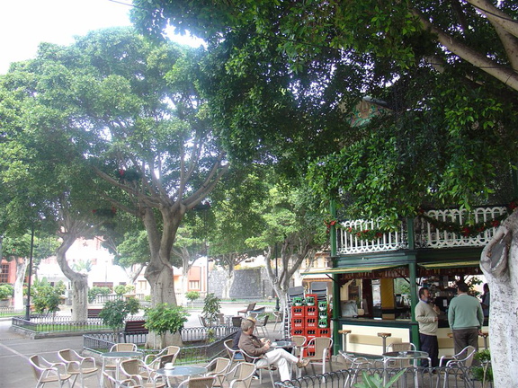 DSC03713