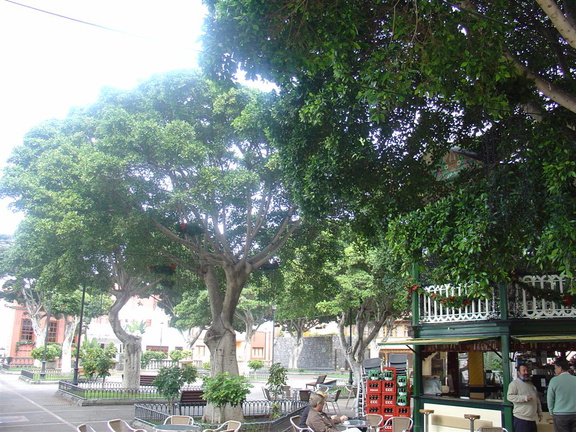 DSC03714