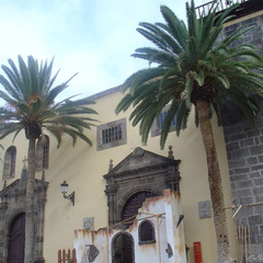 DSC03716