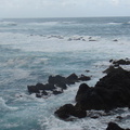DSC03725