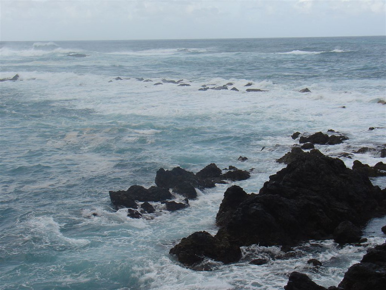 DSC03725