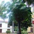 DSC03732