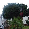 DSC03733