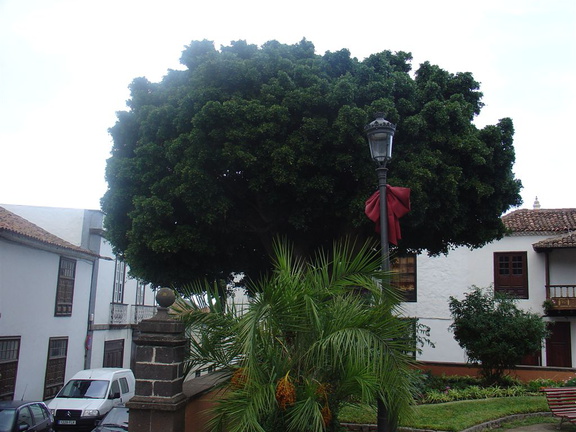 DSC03733