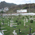 DSC03940