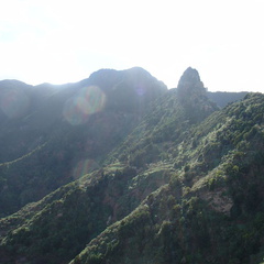DSC03950