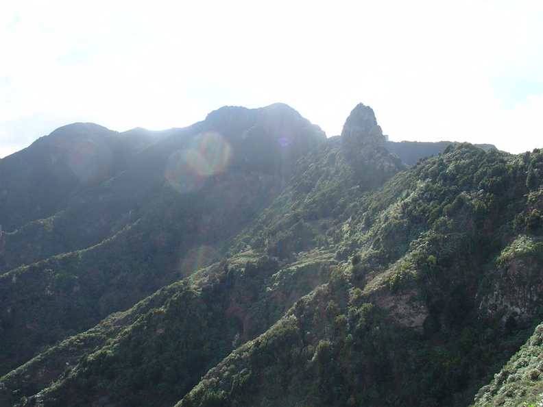 DSC03950.JPG