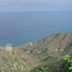 DSC03953