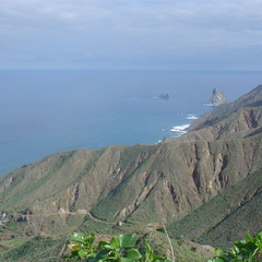 DSC03954