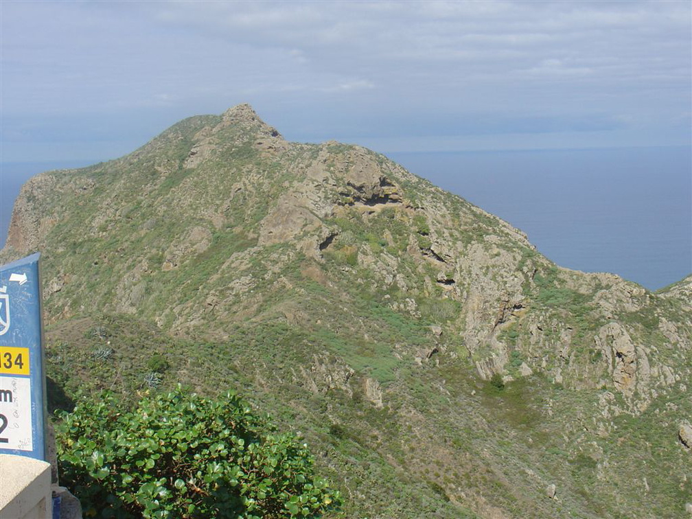 DSC03955