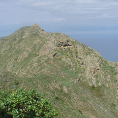 DSC03955