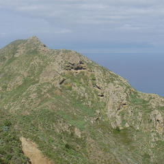 DSC03959
