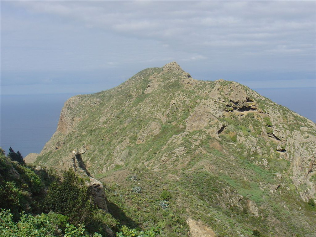 DSC03961