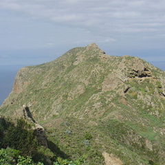 DSC03961