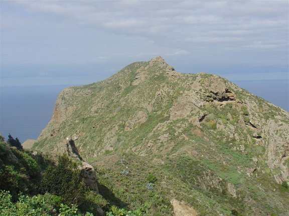 DSC03961