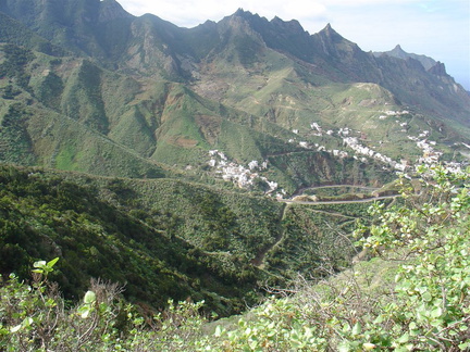 DSC03972