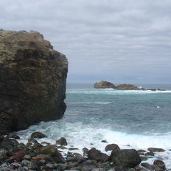 DSC03980