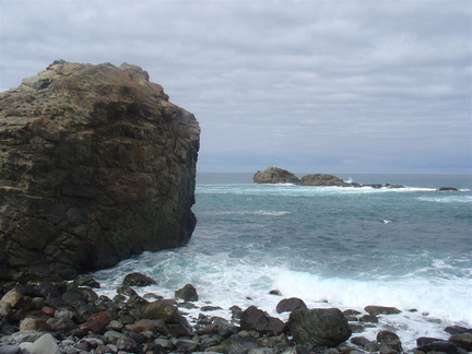 DSC03980