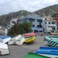 DSC03982