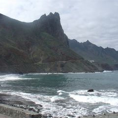 DSC03985