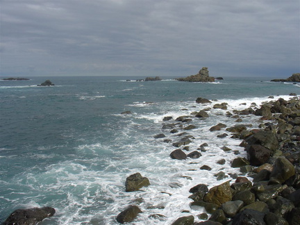 DSC03989