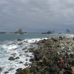 DSC03990