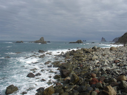 DSC03990