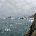DSC03992