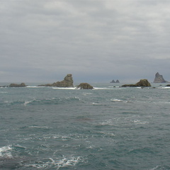 DSC03993