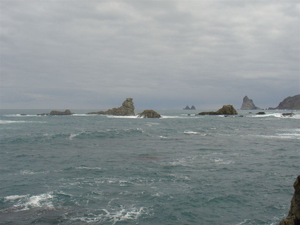 DSC03993