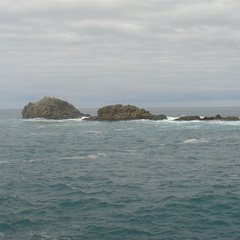 DSC03994