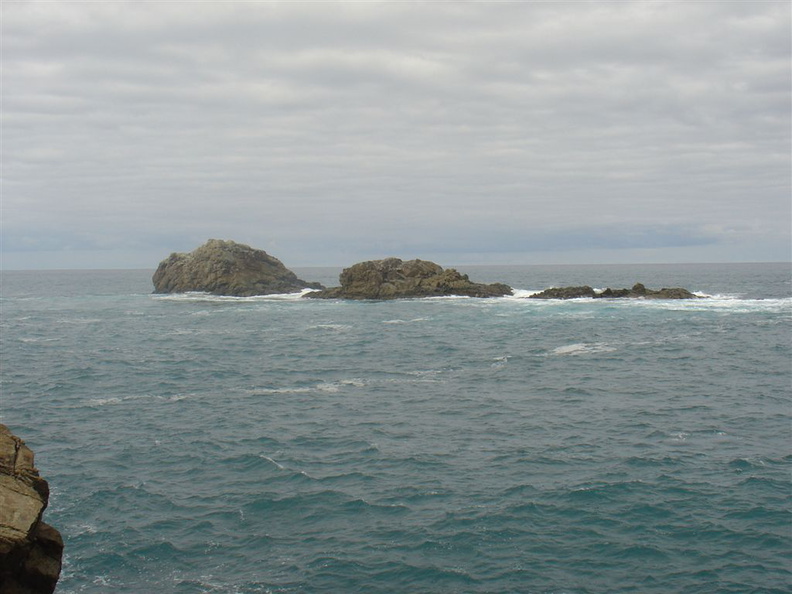 DSC03994.JPG