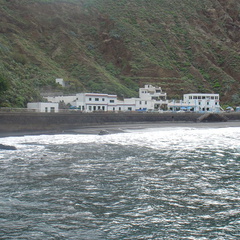 DSC03996
