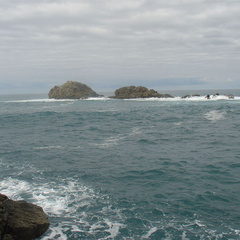 DSC04001