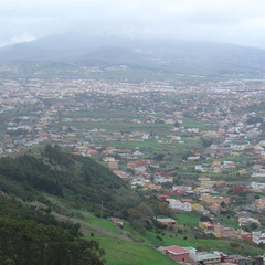 DSC04020