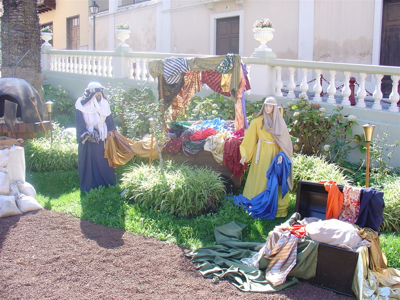 DSC03629